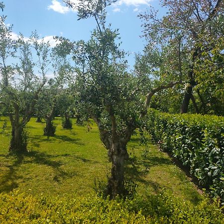 Il Giardino Di Athena 1 Apartman Paestum Kültér fotó
