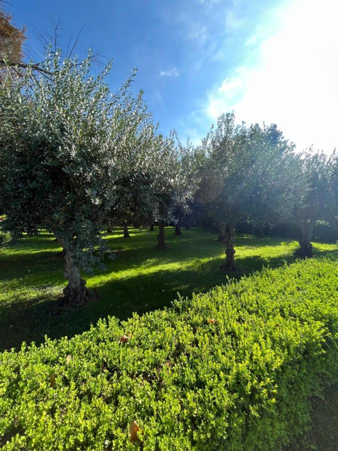 Il Giardino Di Athena 1 Apartman Paestum Kültér fotó
