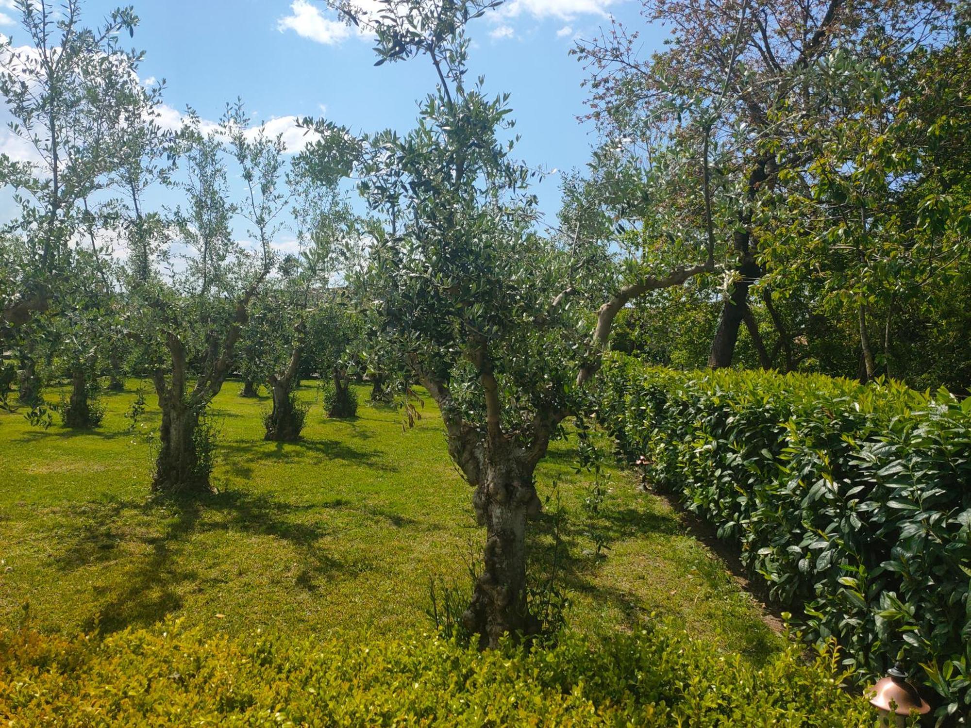 Il Giardino Di Athena 1 Apartman Paestum Kültér fotó