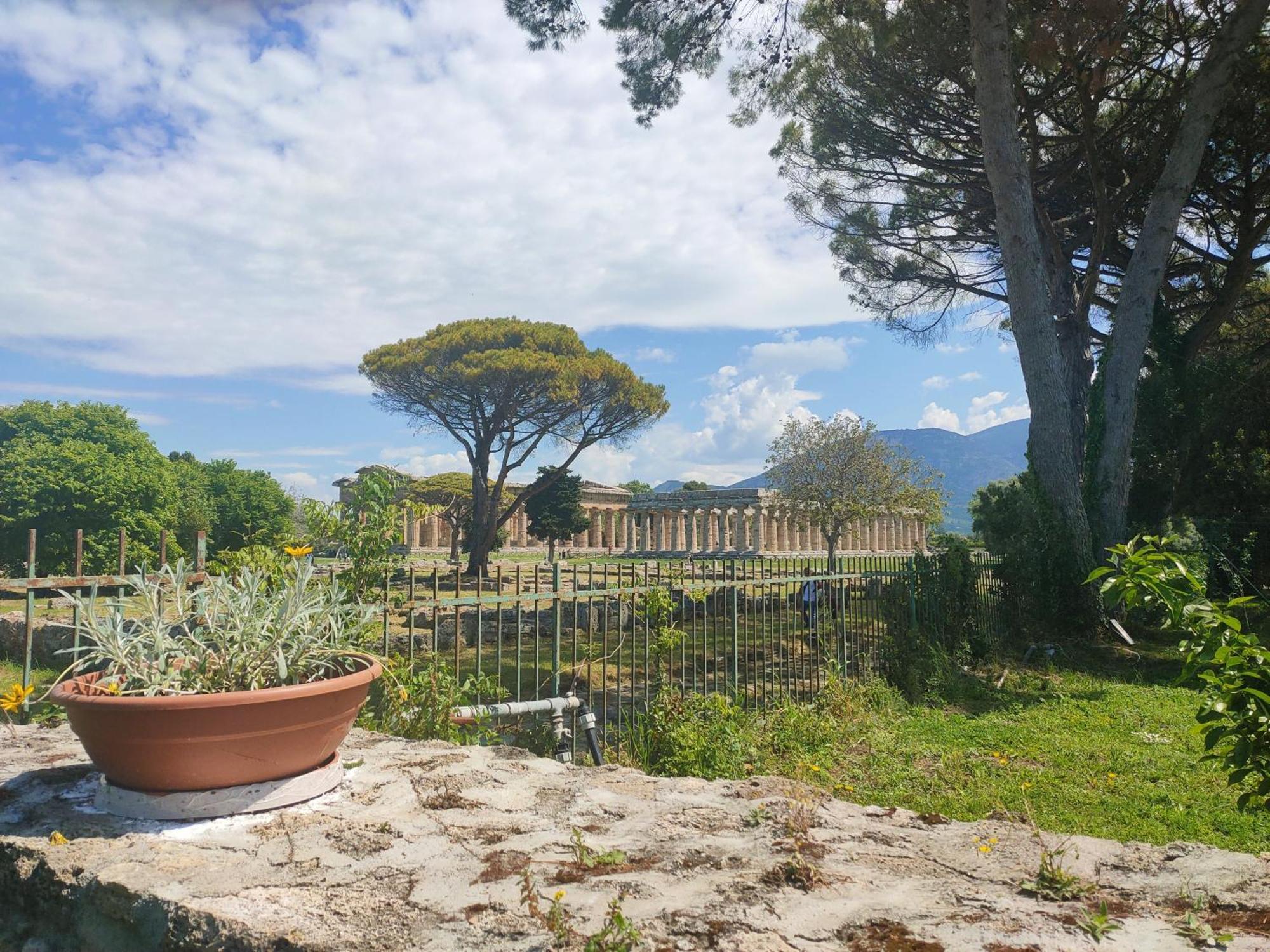 Il Giardino Di Athena 1 Apartman Paestum Szoba fotó