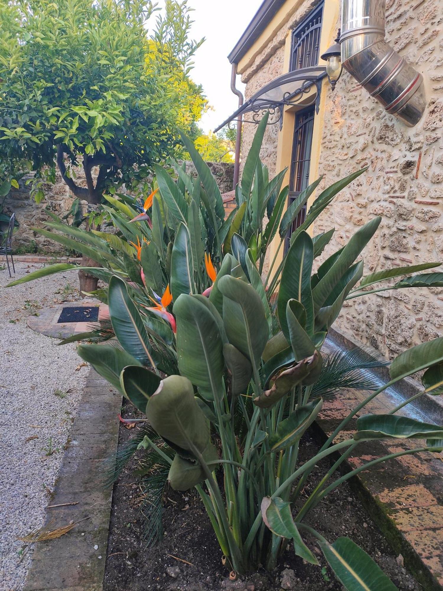 Il Giardino Di Athena 1 Apartman Paestum Kültér fotó