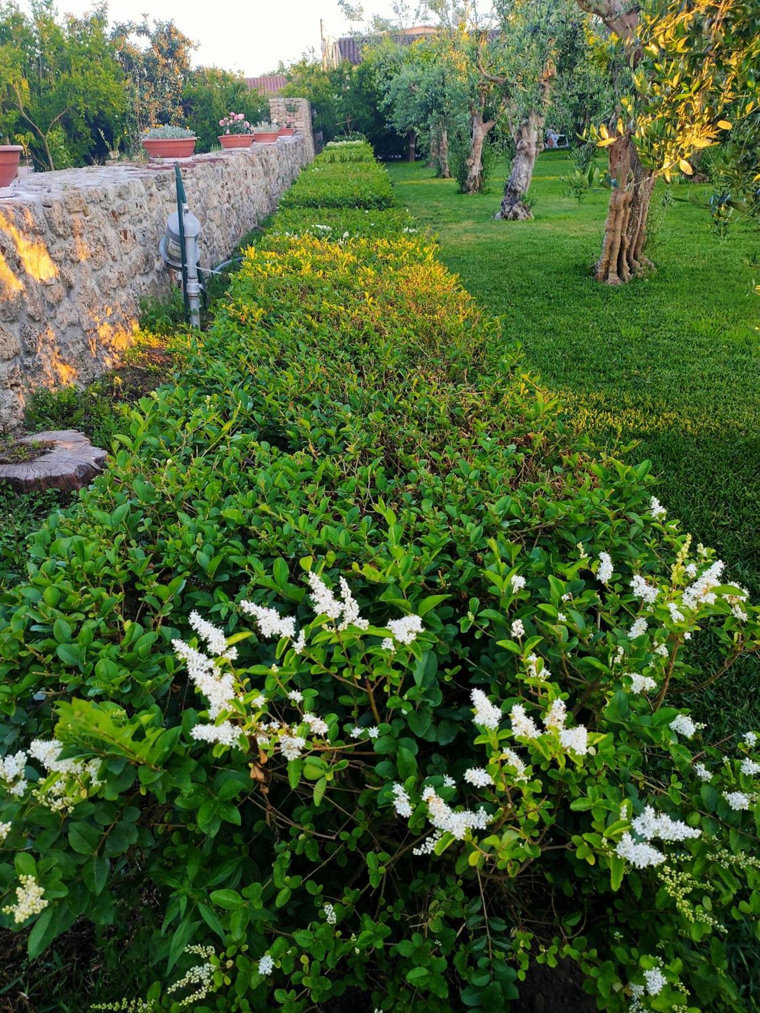 Il Giardino Di Athena 1 Apartman Paestum Kültér fotó
